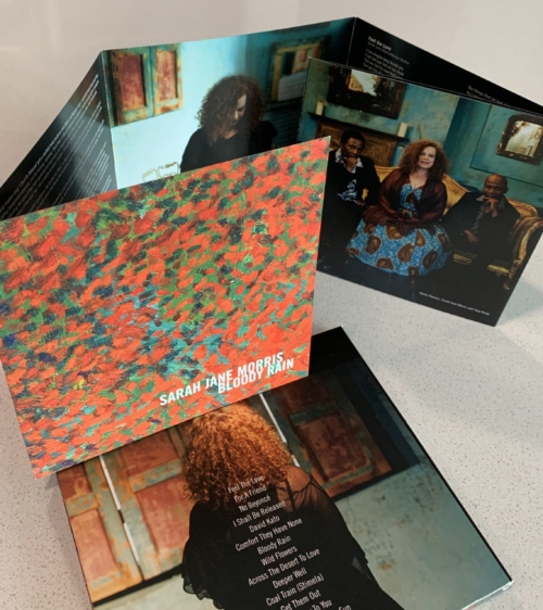 SJM BloodyRain 1 scaled